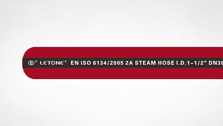 STEAM HOSE